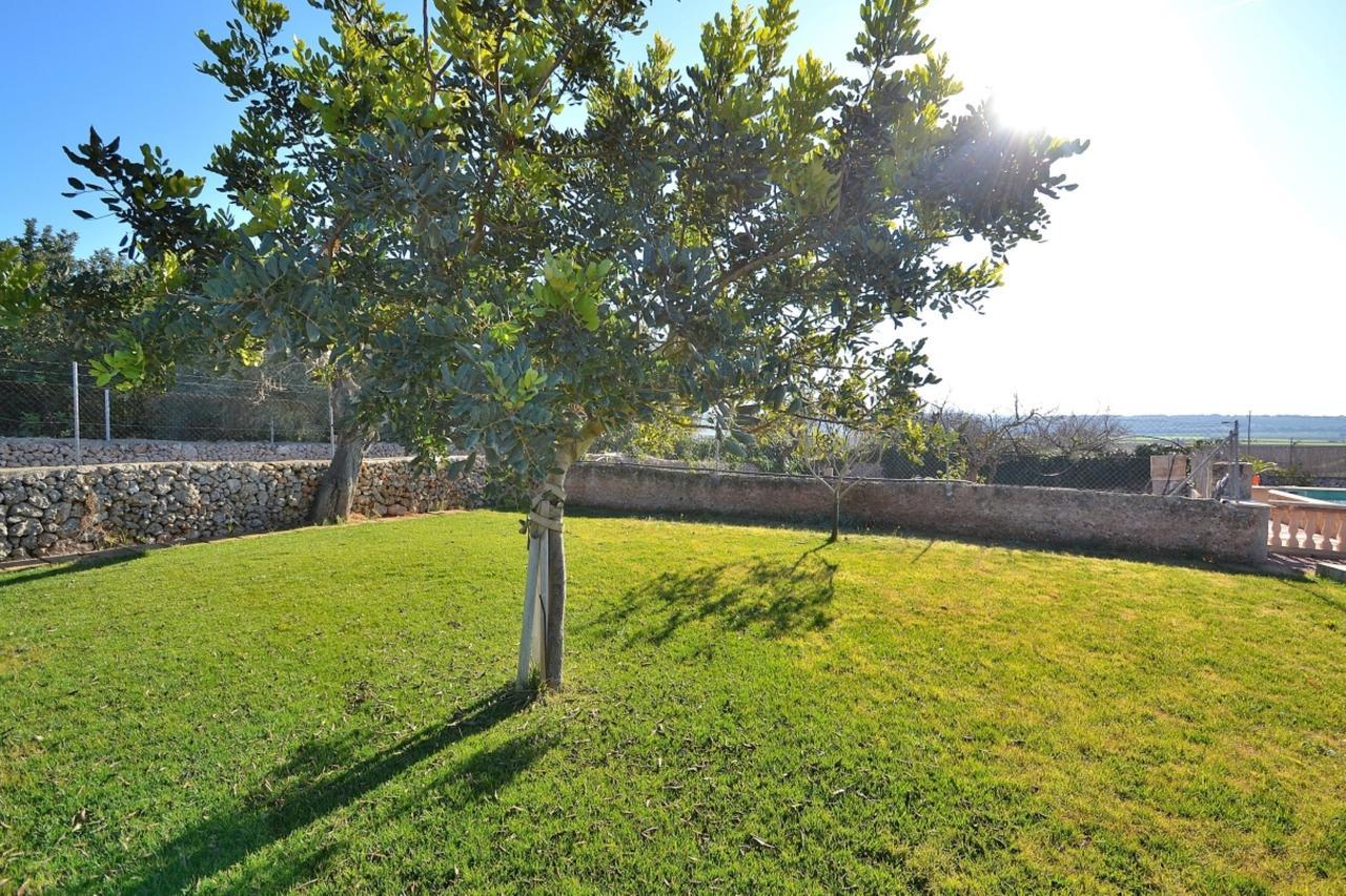 078 Finca Sa Rota Vt1953 By Mallorca Charme Ariany Exteriör bild