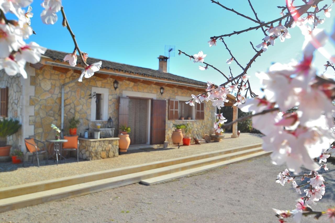 078 Finca Sa Rota Vt1953 By Mallorca Charme Ariany Exteriör bild